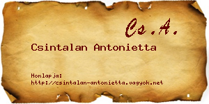 Csintalan Antonietta névjegykártya